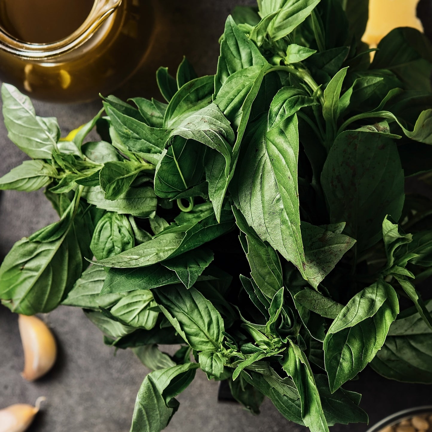 California Basil / Sun Kissed Basil