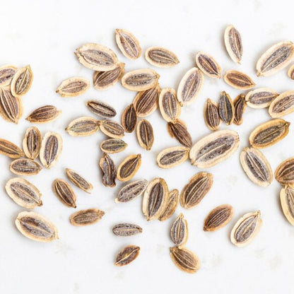 Dill Seeds | Suva Seeds | Suwa Dana | Sathakuppai Seeds