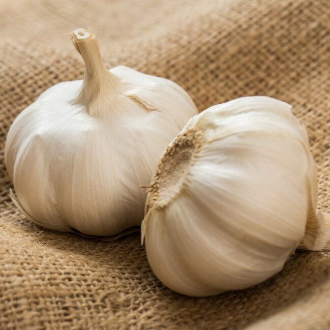 Garlic / Velluli