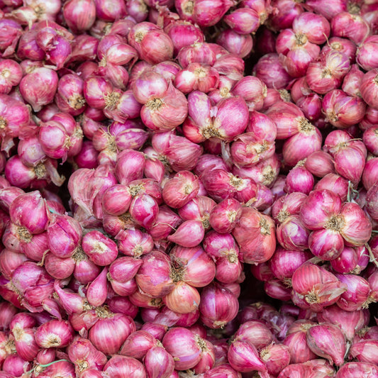 Shallots