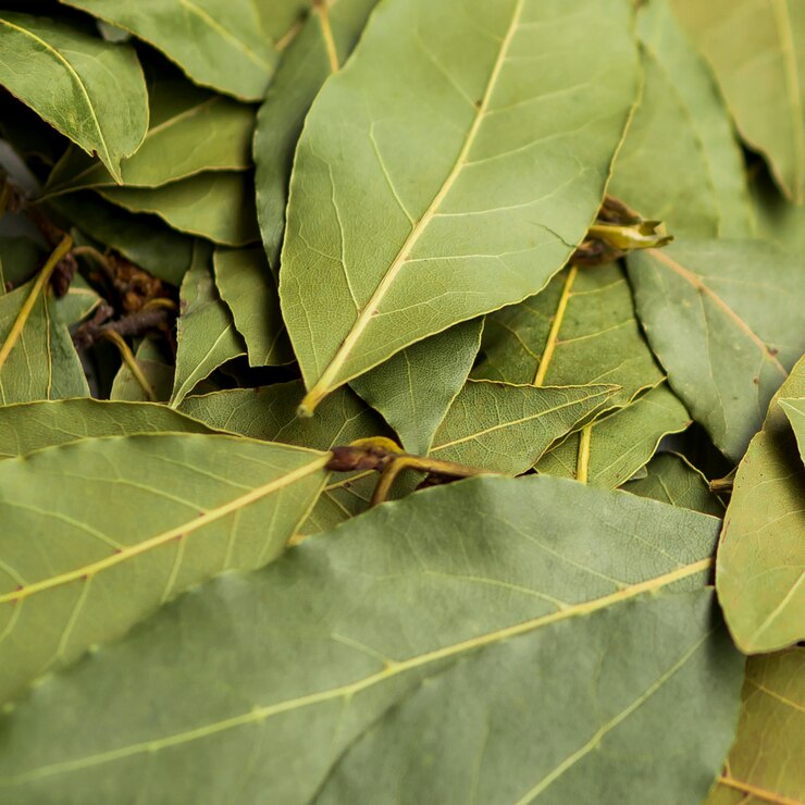 Turkish Bay Leaves | Milder and Sweeter Bay Leaves