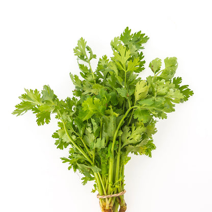 Cilantro| Coriandrum Sativum | Chinese Parsley | Dried Leaves