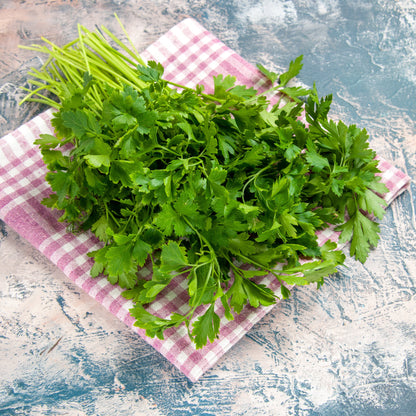 Cilantro| Coriandrum Sativum | Chinese Parsley | Dried Leaves